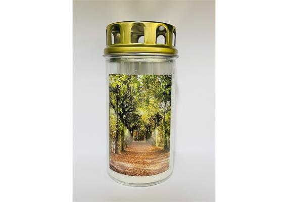 Ewiglichtkerze mit Motiv "Baum-Allee"