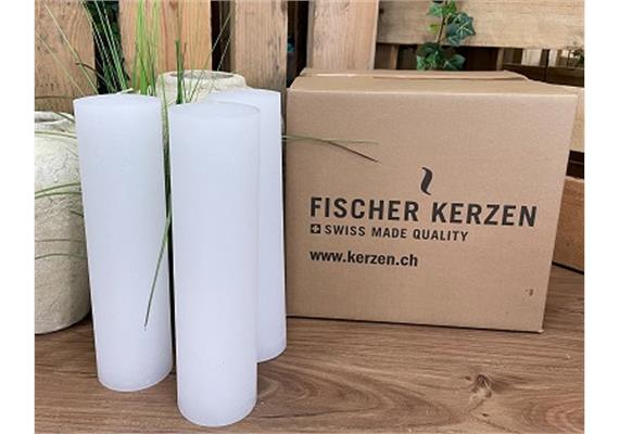 Rusticokerzen Gastro D: 80mm H: 300mm flieder